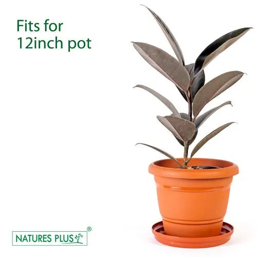 3023 Plastic Planter Big Plate for 12,14,16,18 inch pot