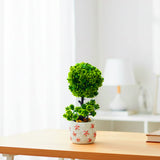 AM6238 Green Topiary Ball Plant with Decorative Flower Pot