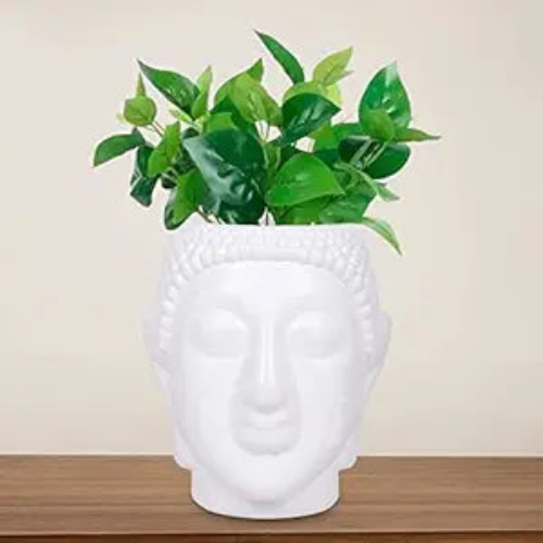 AM0822 Buddha Pot 6 inch Flower Plant Plastic Pot