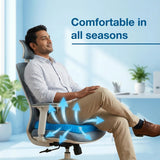 AM7806 Cushion Seat Flex Pillow, Gel Orthopedic Seat Cushion Pad (Egg Sitter)