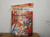 AM3293 Camel Painting Kit