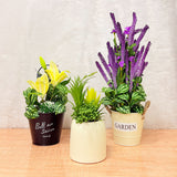 TM0027 Artificial Flower and Succulent Arrangements in Decorative Pot [Set of 1]