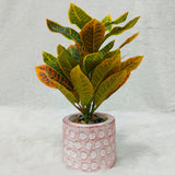 AM6237 Vibrant Croton Plant in Rustic Patterned Pot – Lifelike Decorative Greenery