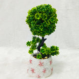 AM6238 Green Topiary Ball Plant with Decorative Flower Pot
