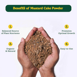 15498 Mustard Cake Fertilizer For Plants 900gm