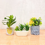 TM0029 Artificial Decorative Plants in Unique Cement & Ceramic Planter [Set of 1]