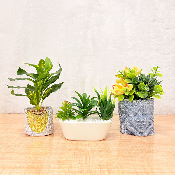 TM0029 Artificial Decorative Plants in Unique Cement & Ceramic Planter [Set of 1]
