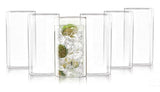 AM2592 CELLO Roma Borosilicate Glass Tumblers, Set of 6, 290ml Each, Clear