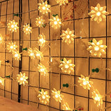 3394 14 LED Double Lotus Flower Fairy String Lights for Home Decoration 10 Feet (Warm White)