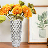AM5990 Decorative Transparent Flower Pot (Multidesign)