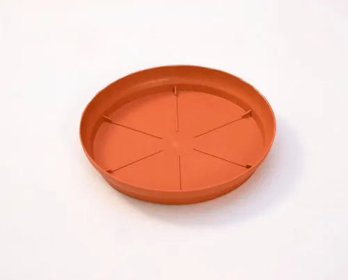 3024 Plastic Planter Small Plate for 5,6,8,10 inch pot