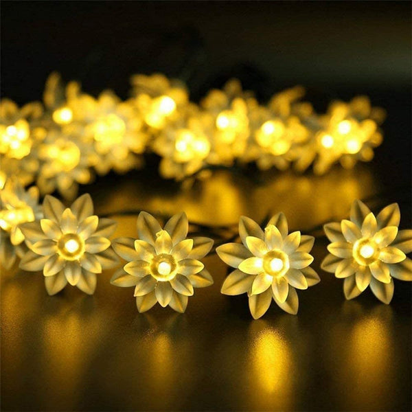 3394 14 LED Double Lotus Flower Fairy String Lights for Home Decoration 10 Feet (Warm White)