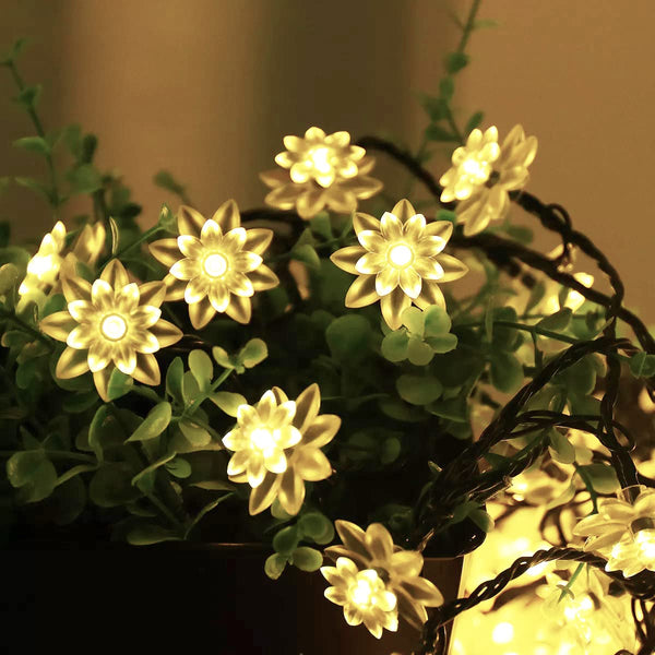 3394 14 LED Double Lotus Flower Fairy String Lights for Home Decoration 10 Feet (Warm White)