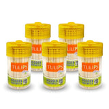 3136 Tulips Disposable Wooden Toothpicks