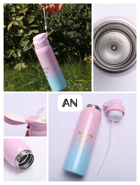 3803 Stainless Steel Insulated Cute Water Bottle Straw Flip Open 500ml