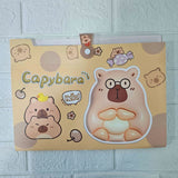 AM6048 Magical Expanding File Folder (Document Holder) – 32.5x24 cm