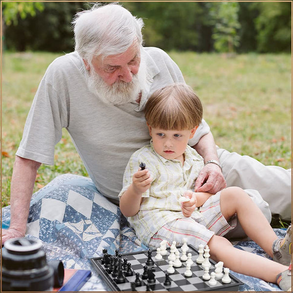 AM0139 Folding Magnetic Chess Game