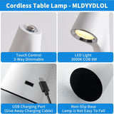 AM5917 Touch Control Wireless LED Table Lamp
