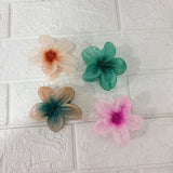 AM6397 Mix Translucent Floral Hair Claw Clip - Big (1pc)