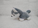 AM3486 Baby Husky Dog Plush Animal Soft Toy 11inch 170gm