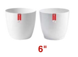 A06537 6-Inch Premium White Plastic Planter Pot (Pack of 1)