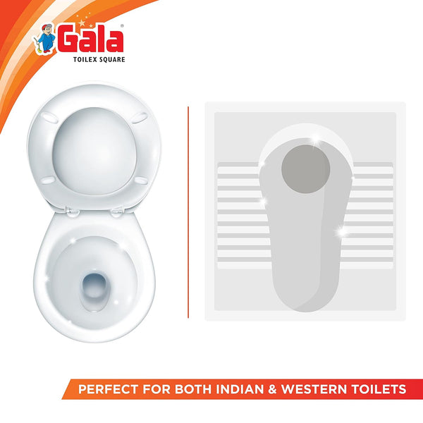 AM3369 Gala Toilex Toilet Brush With Square Container