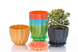 AM3632 Cammy Plastic Star Flower Pots with Tray Multicolor 1 Pcs