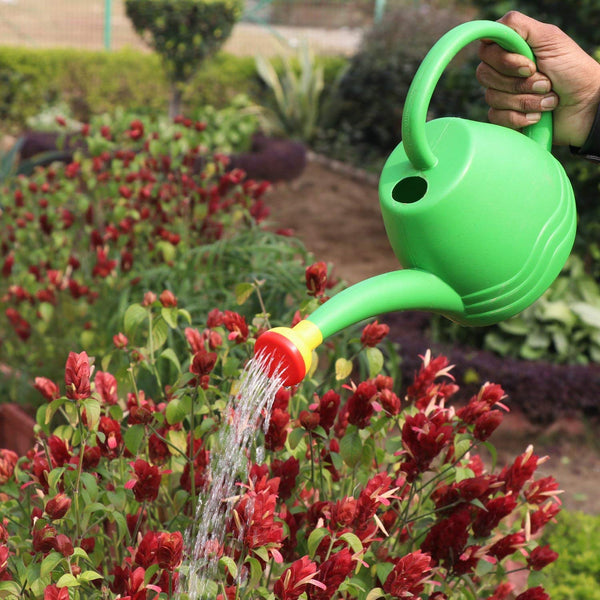 3090 1.8 Liter Plastic Watering Can for Plants