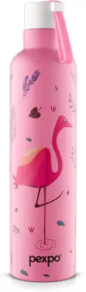 AM3795 Pexpo Oslo Art Stainless Steel Water Bottle 750