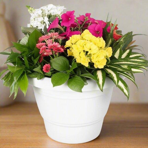AM5616 Alpha Delux Premium Plastic Planter Round Pot (12 Inch)  - Plant Pot Set for Home Garden and Nursery