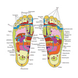 3563 Reflexology Magnetic Acupressure Yoga Paduka