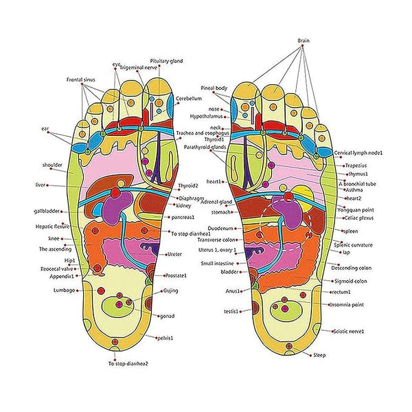 3563 Reflexology Magnetic Acupressure Yoga Paduka