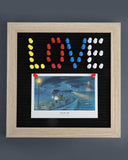 AM0435 50Pcs Assorted Color Push Pins for Cork Board