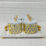 Di0168 Rishabh Sacoor Set 4 Multipurpose Set | 4 Premium Containers with Serving Tray