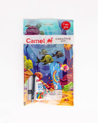 Camel CD まとめ CAMEL キャメル / 2018年5月20日 クラブ・チッタ川崎公演 川崎4デイズ