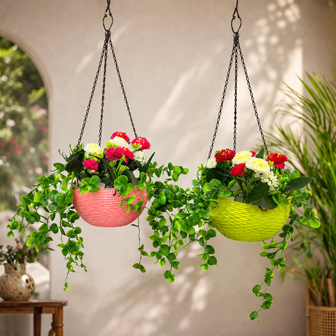 files/ChatGPT_Image_Jul_23_2026_11_26_05_AM.png