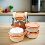 AM5653 Rishabh Galaxy Stanley 3 Inside Steel Container - Microwave Safe and 100% Leak Proof Lunch Box 3 Containers Lunch Box