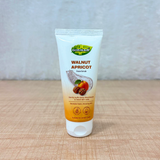 AM6689 Girnar Walnut & Apricot Face Scrub (50ml)