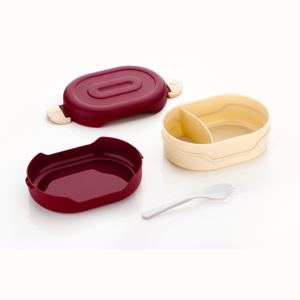 AM6659 Tasty Lunch Box Set with Water Bottle, 2 Compartments, Leak-Proof Design (Multicolour)
