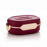 AM6659 Tasty Lunch Box Set with Water Bottle, 2 Compartments, Leak-Proof Design (Multicolour)
