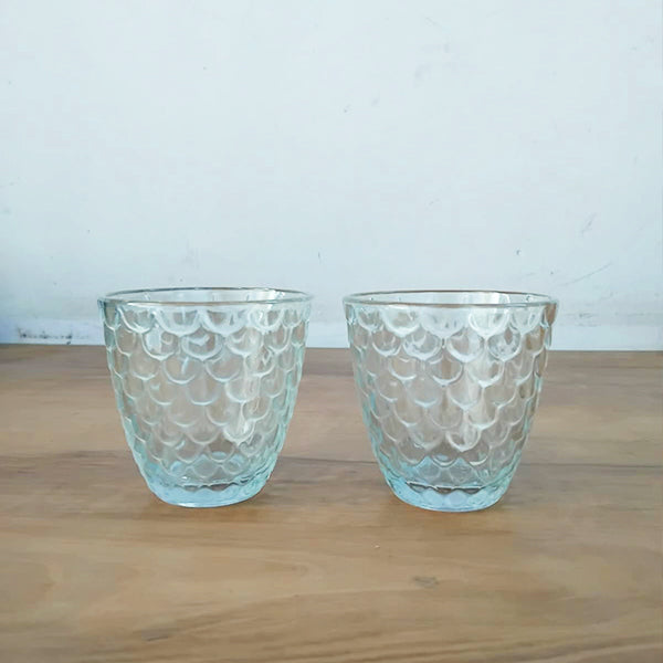 AM3859 Moulded Design Fish Premium Glass Set (2Pcs)