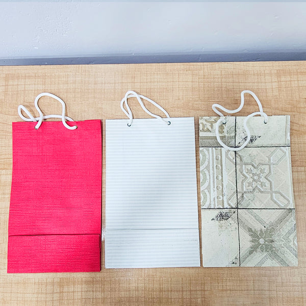 AM5950 Multi-Design Medium Paper Gift Bag with Rope Handles - Pack of 1