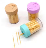 AM2721 Wooden Bamboo Toothpicks 100PCS, Toothpick Dispensers Natural Wood Toothpicks for Teeth Cleaning,, Plastic Toothpick Holder