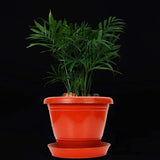 AM0938 Flower Pot Plant Saucer 6 Inch Base Plate Tray