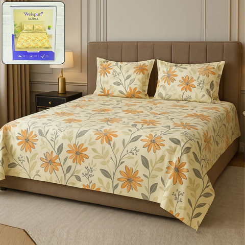 files/Untitleddesign_5_82b3bcce-c2a7-495d-bb70-2f6a3991011f.png