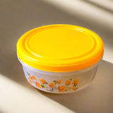 AM3991 Food Saver 333 Plain Storage Containers
