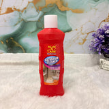AM7318 Klin-N-Care Disinfectant Bathroom Cleaner (500ml)