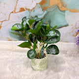 AM7446 Artificial Silver Leaf Potted Plant