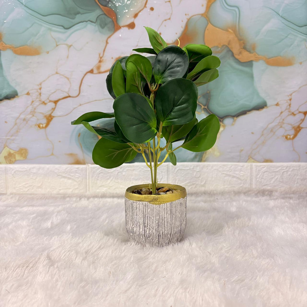 eucalyptus money plant AM7453 Artificial Eucalyptus Money Plant in Gold-Rimmed Textured Pot – Amd-Deodap