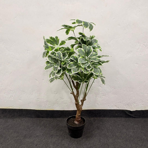 AM7464 SMALL Artificial Variegated Schefflera Umbrella Tree in Black Pot
